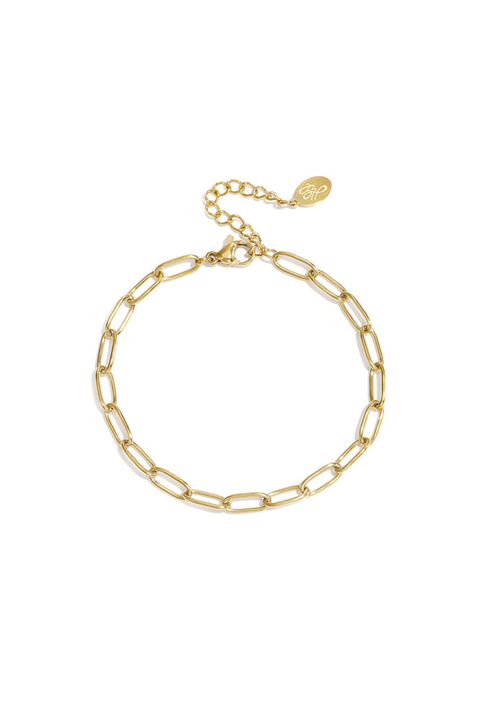 Fijne goudkleurige armband met schakels - stainless steel sieraden