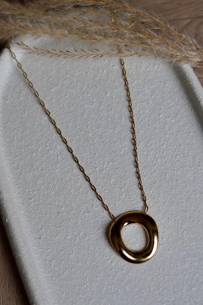 Minimalistische gold stainless steel necklace met ronde hanger - By LIV Fashion